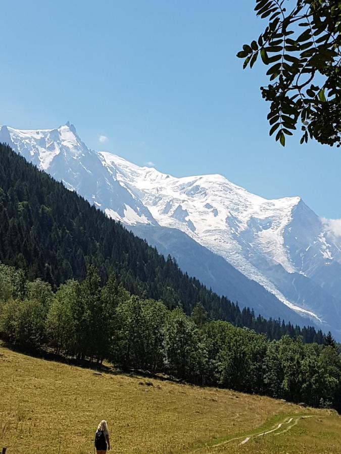 Appartement Typique,Chaleureux Et Pratique Chamonix Exteriér fotografie